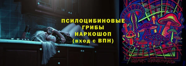 сатива Арсеньев