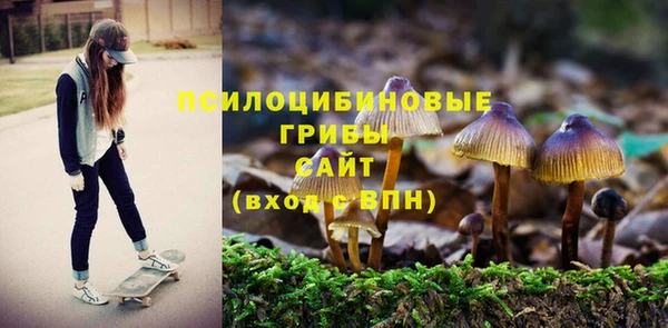 мескалин Аркадак