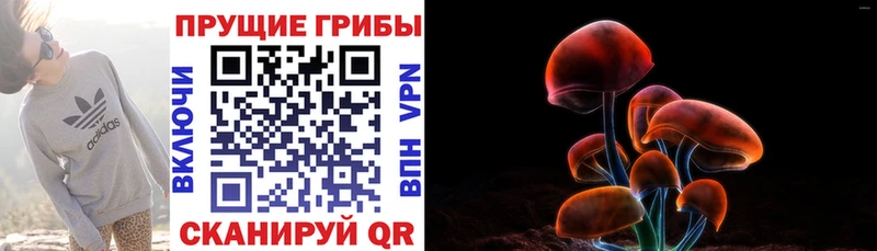 Псилоцибиновые грибы GOLDEN TEACHER  где найти наркотики  мориарти как зайти  Болохово 
